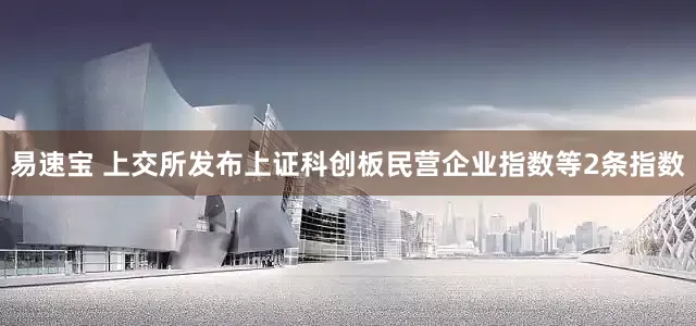易速宝 上交所发布上证科创板民营企业指数等2条指数