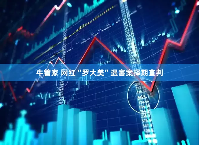 牛管家 网红“罗大美”遇害案择期宣判