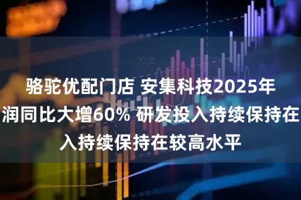 骆驼优配门店 安集科技2025年上半净利润同比大增60% 研发投入持续保持在较高水平