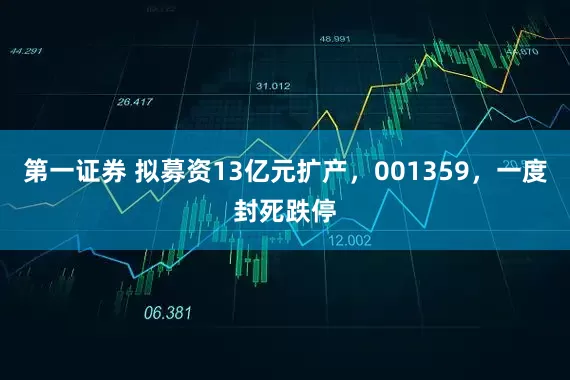 第一证券 拟募资13亿元扩产，001359，一度封死跌停